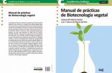 Manual de prácticas de Biotecnología Vegetal